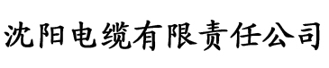 《妻子的瑜伽教练》电缆厂logo